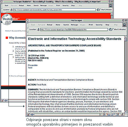 stran UsableNet page v glavnem oknu in stran Summary of Section 508 Standards v sekundarnem oknu