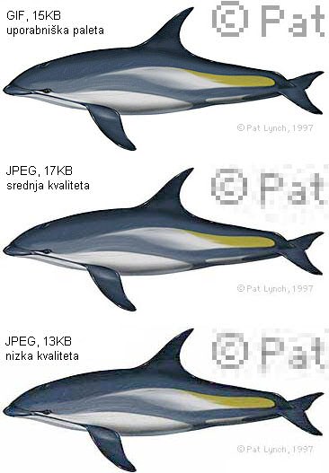 Primerjava kompresije JPEG in gif