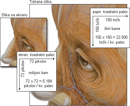 Primerjava resolucije v knjigi in na ekranu