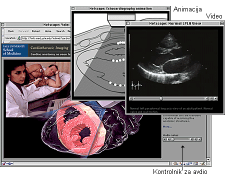 izrezek: zvok, animacije in video na spletni strani